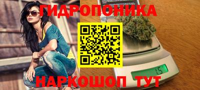 прущие грибы Рыбинск