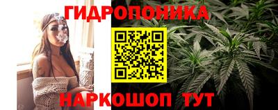 гидра Рузаевка
